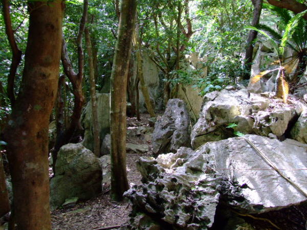 巨岩コースの大きな石