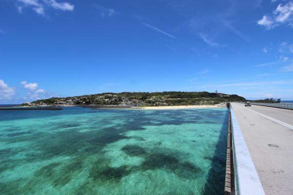 沖縄本島北部の観光スポット きれいな海やヤンバルの自然が多く残るエリア