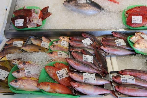道の駅いとまん 鮮魚や農産物が安い 日本最南端の道の駅