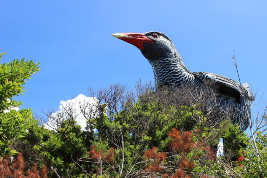 ヤンバルクイナ展望台